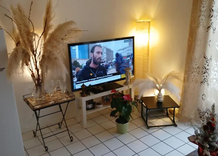 Comme A La Maison Logez Chez Domi Coquet T2 Avec Jardin