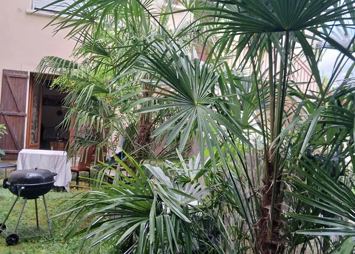 Comme A La Maison Chez Dominnique Coquet T2 Avec Jardin Homme Chaleureux