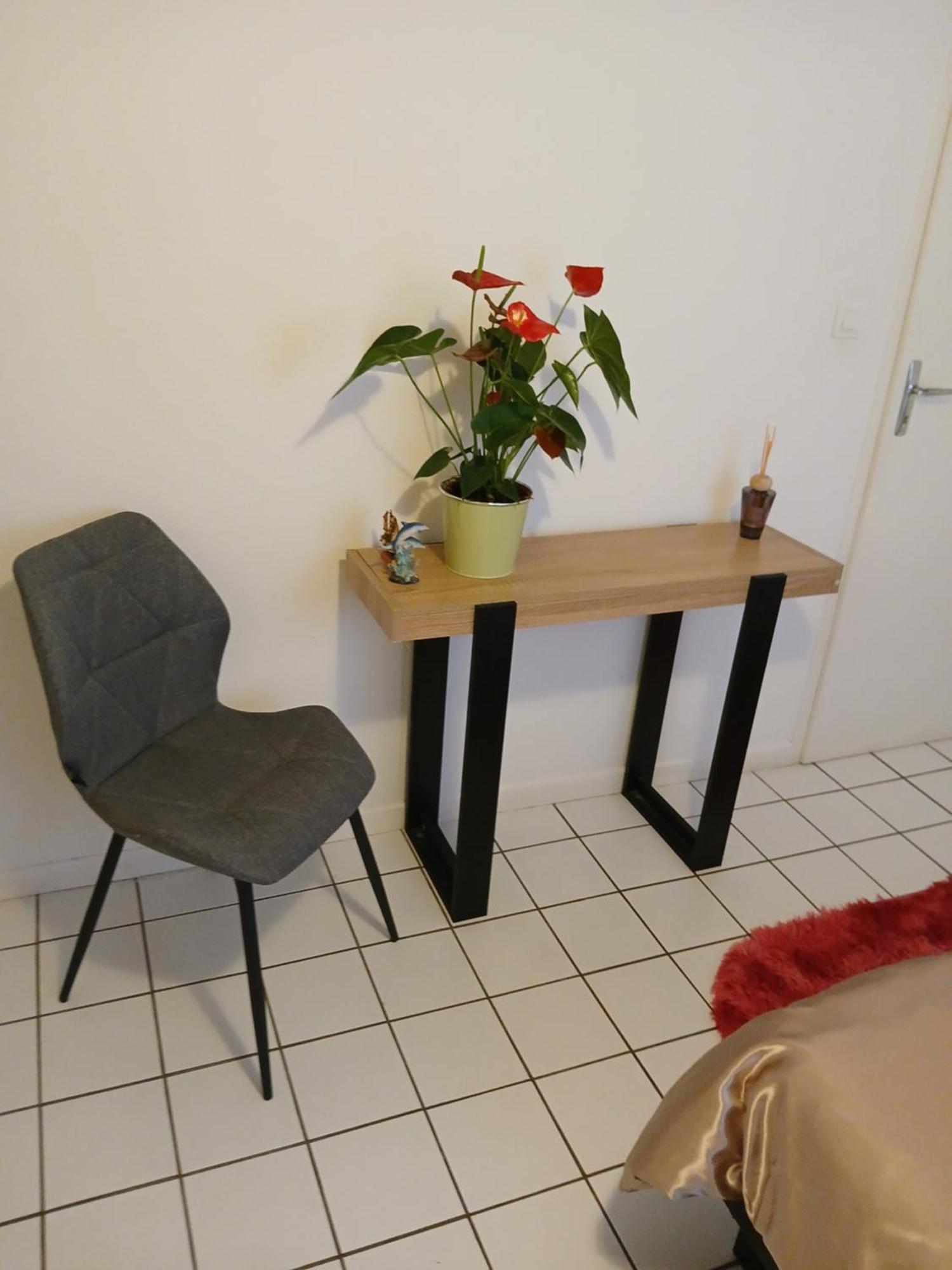 Homestay Comme A La Maison Logez Chez Dominique Dans Coquet T2 Avec Jardin