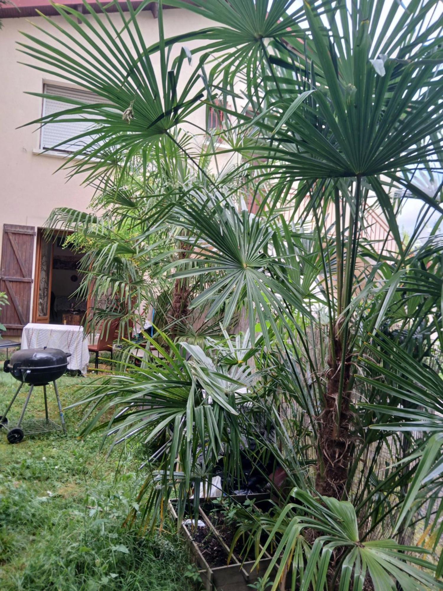 Privatunterkunft Comme A La Maison Chez Dominnique Coquet T2 Avec Jardin Homme Chaleureux *
